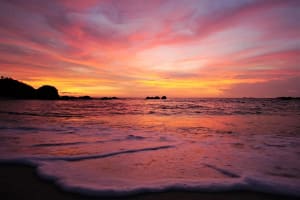 Costa Rica Beach & Rainforest Adventure 4