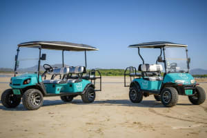 Tamarindo 4-Seater Golf Cart Rental 3
