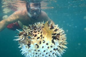 Tamarindo Kayak & Snorkel Adventure 4