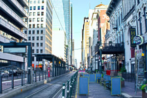 Houston City Highlights Tour 4