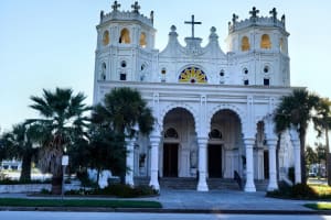 Galveston Dolphin Cruise & Elissa Tour 4