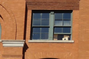 JFK Assassination Walking Tour 4