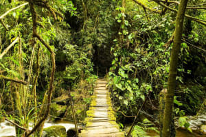 Santa Rita Waterfall & Salento Hike Tour 3