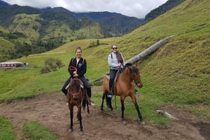 Cocora Valley Horseback Riding Tour 3