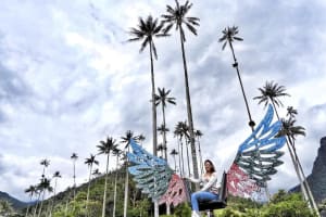Filandia, Salento & Cocora Valley Tour 4