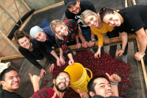Cocora Valley & Coffee Farm Tour 4