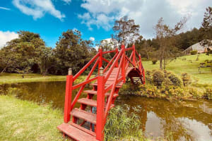 Eco-Park Recinto del Pensamiento Tour 4