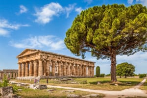 Paestum Private Tour: Greek Temples & Museum 4