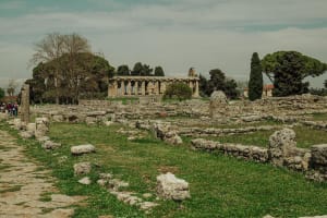 Paestum Archaeological Private Tour 4