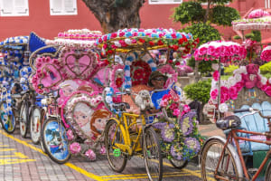 Malacca Historical Private Tour 4