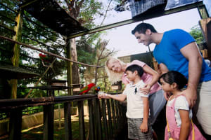 Kuala Lumpur Nature & Wildlife Tour 3
