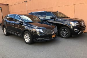 Private Arrival Transfer from John Wayne Airport to Hotel 3