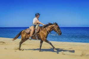 Cabo San Lucas Horseback Beach Ride 4