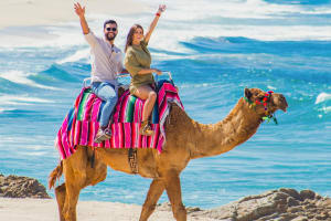 Cabo San Lucas Adventure Combo 3