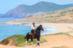 Beach CAN-AM SXS X3 & Horseback Ride in Cabo 3