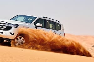 Private Red Dunes Desert Safari with BBQ Dinner and Camel Trek 3