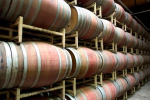 Woodinville Wine and Snoqualmie Falls Day Tour 4