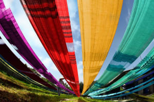 Hanoi Cultural Heritage Tour 3
