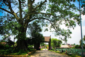 Instagram Tour: Duong Lam Village & Train Street 4