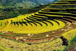Luxury 2-Day Sapa Tour from Hanoi 4