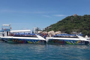 Koh Nangyuan & Koh Tao Snorkel Adventure 4