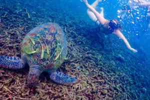 Koh Tao 5-Island Snorkel Adventure 3