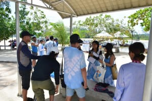 Phi Phi Island Speed Boat Adventure from Krabi 3