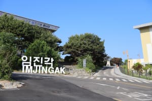 Seoul DMZ Tour with Pistol Shooting 3