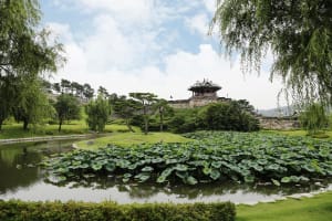 Suwon Fortress UNESCO Day Trip 3