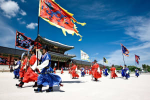 Seoul Royal Palaces and Market Tour 3