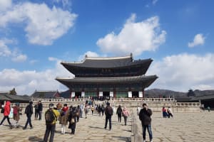 Seoul Royal Palaces and Market Tour 4