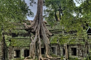 Angkor Wat & Angkor Thom Half-Day Tour 3