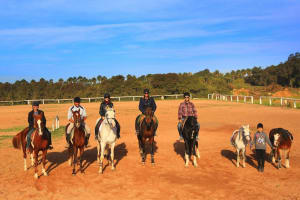 Marrakech Horse Riding Adventure 3