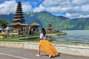 Customizable Bali Full-Day Tour 3