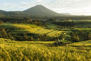 Bali Charm: Bedugul & Tanah Lot Tour 3