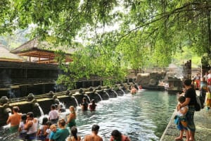 Bali Adventure: Jungle Swing & Volcano Tour 4