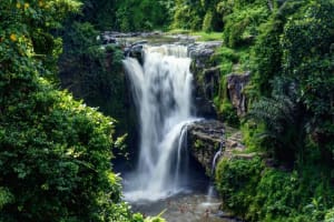 Romantic Ubud and Tanah Lot Tour 4
