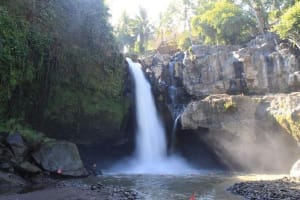 Ubud Nature and Culture Tour 4