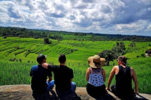 Bali's Majestic Temples and Scenic Landscapes Tour 3
