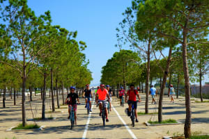 Athens City and Sea Bike Tour 3