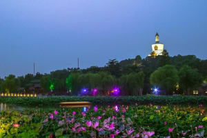 Beijing Evening Tour: Jingshan Hill, Beihai Park & Hutongs Street Food 4