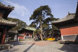 Private Transfer to Tanzhe & Jietai Temples 3