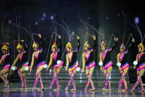 Beijing Afternoon Tour: Silk Market & Acrobatic Show 3