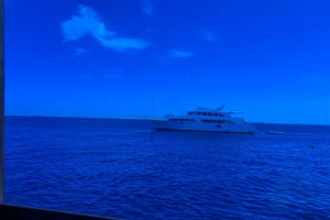 Glass Bottom Boat Trip in Hurghada 4