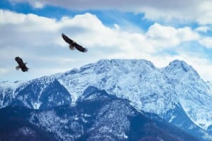 Zakopane and Chocholow Thermal Baths Tour 4