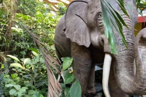 Giza Zoo Private Half-Day Tour 3