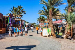 Private Tour to St. Catherine and Dahab from Sharm El Sheikh 3