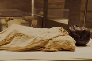 National Museum of Egyptian Civilization Tour 3