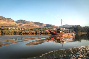 Douro Valley Wine Tour with Lunch & River Cruise 4