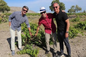 Santorini Sunset Wine Tasting Tour 3